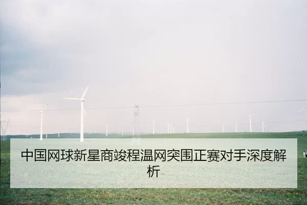 zhong-guo-wang-qiu-xin-xing-shang-jun-cheng-wen-wang-tu-wei-zheng-sai-dui-shou-shen-du-jie-xi-1-188.jpg