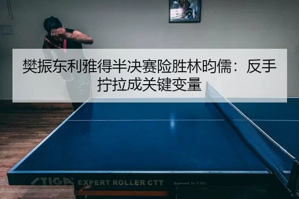 fan-zhen-dong-li-ya-de-ban-jue-sai-xian-sheng-lin-yun-ru-fan-shou-ning-la-cheng-guan-jian-bian-liang-3-456.jpg